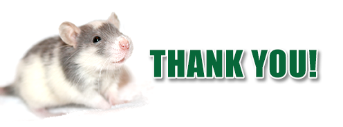 THANK YOU THANK YOU